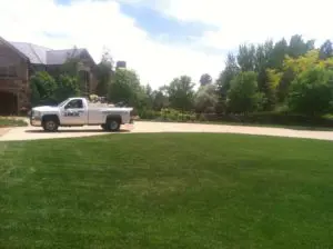 Summer Lawn Watering to Beat the Heat