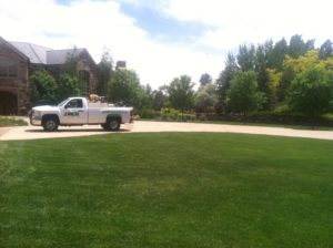 J. Rick is Colorado Springs' lawn care service providers.