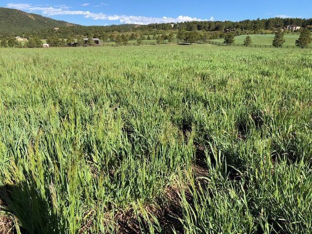 field in colorado