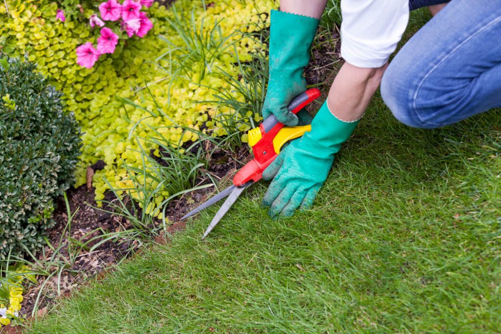 Guard Your Yard Try These 3 Spring Lawn Care Tips