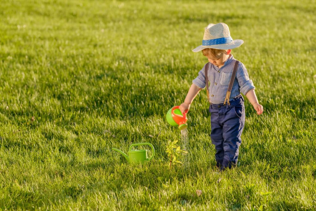 Lawn Seeding & Fertilizing are Important Parts of Professional Lawn Care