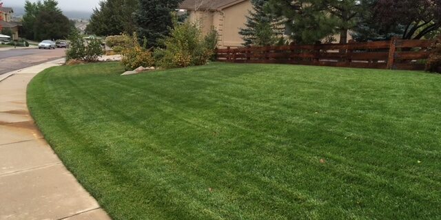 J. Rick provides affordable lawn fertilization services in Colorado Springs, CO