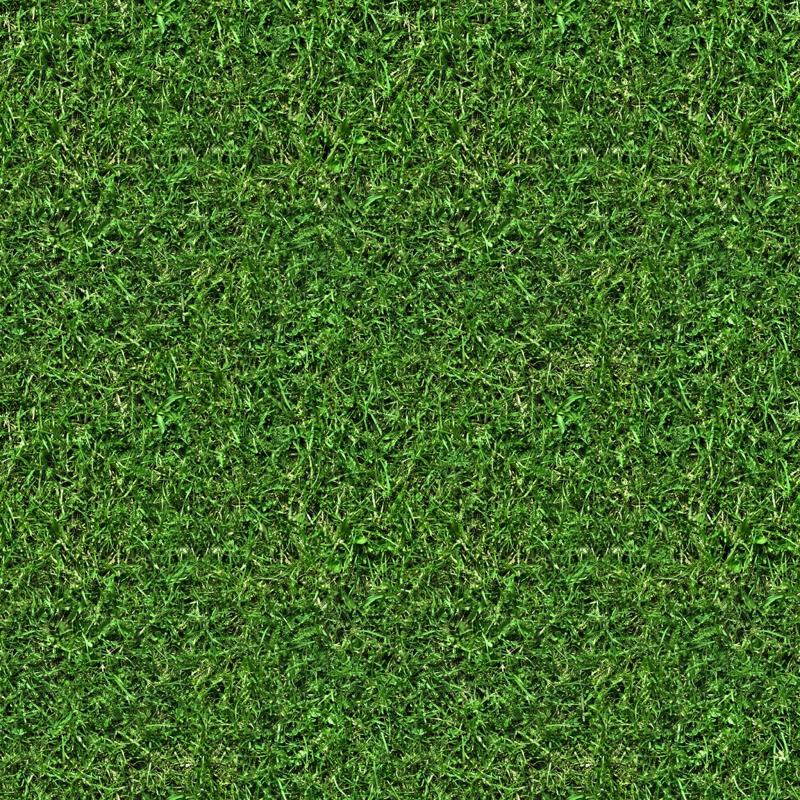 Lawn_Care_Tree_Care_Colorado_Springs_J_Rick