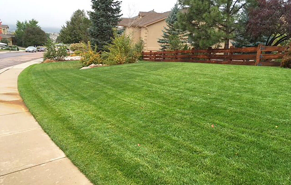 J. Rick Lawn Care