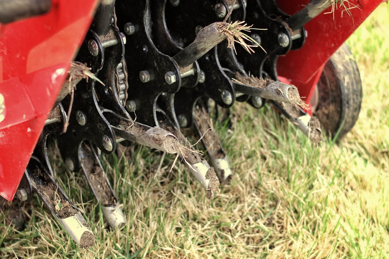 Poking holes deals in lawn