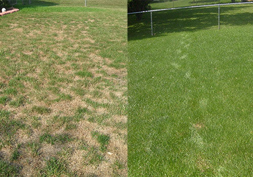 Before and after seeding services with J. Rick Lawn & Tree.