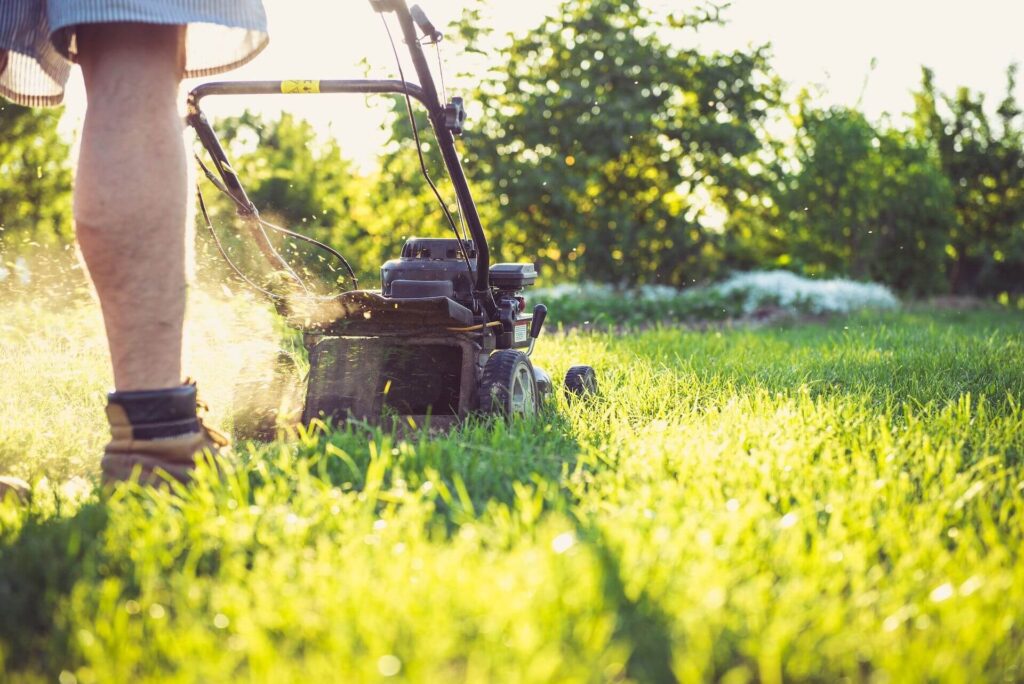 man mowing lawn after overseeding