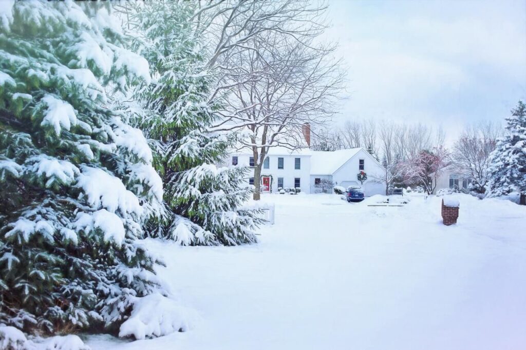 Winter Watering Services Colorado