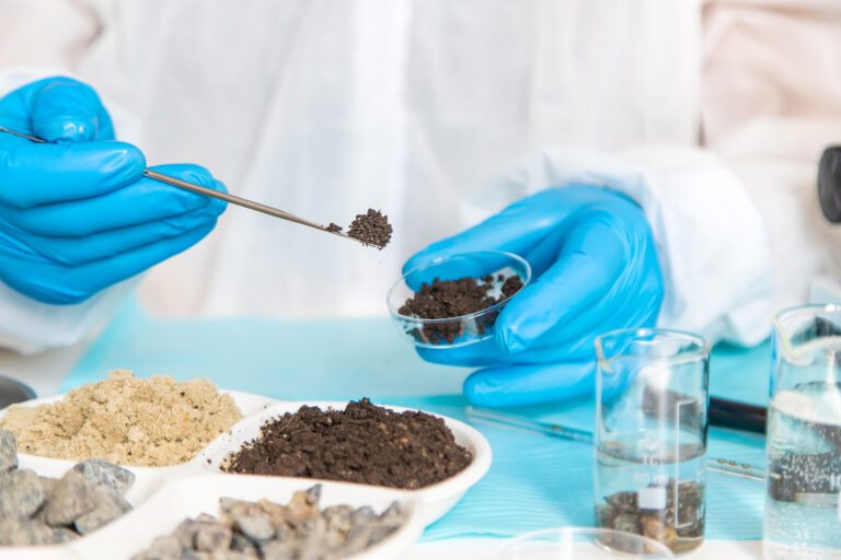 Soil Testing 101: Why It Matters for a Healthy Lawn