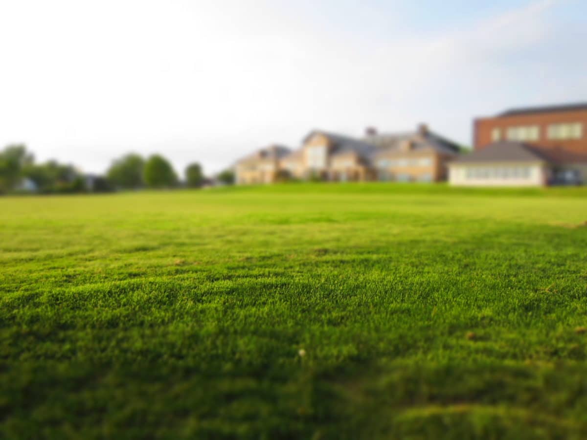 Gorgeous lawn view at sunset.